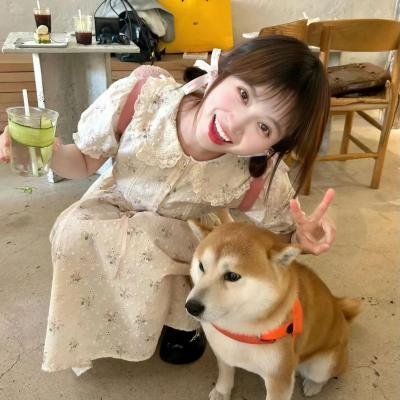 欢乐家庭