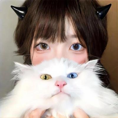 惩戒者